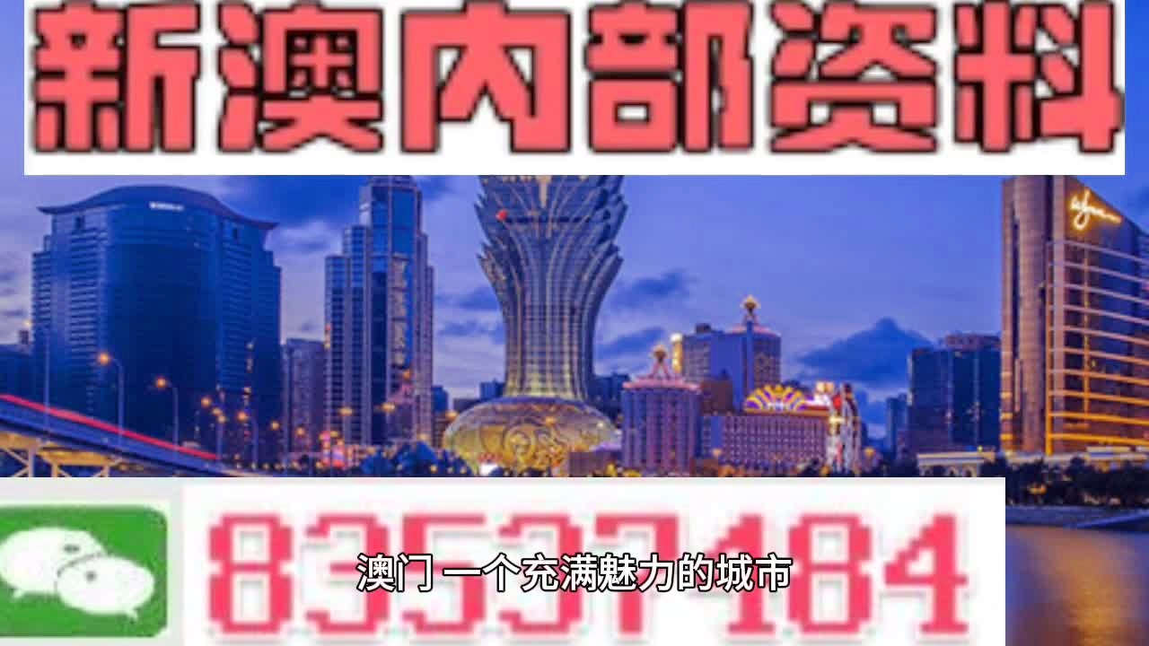 新澳门今晚精准一肖,最新分析解释定义_AP58.477