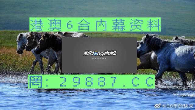 澳门马买马网站com,实证解读说明_QHD56.719