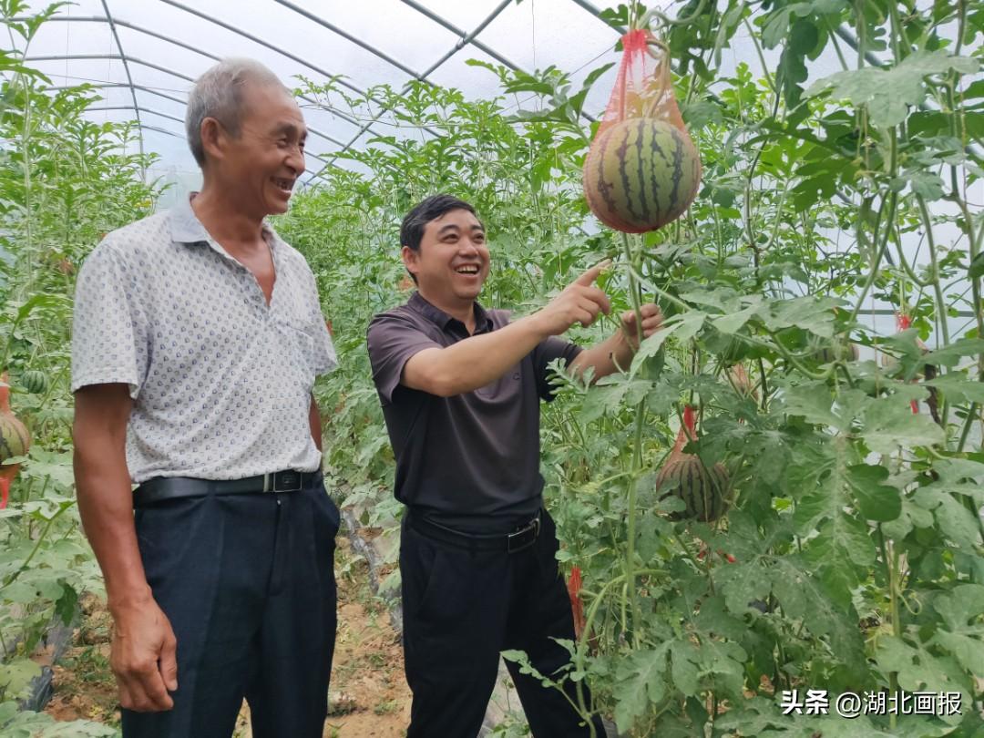 愚公乡重塑乡村交通网络，助推地方经济发展最新报道