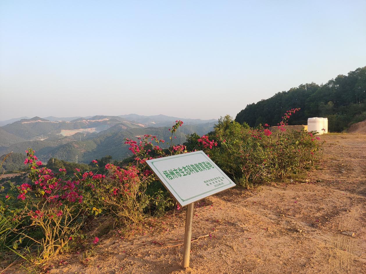 嶂山林场绿色发展新篇章，探索与实践最新项目