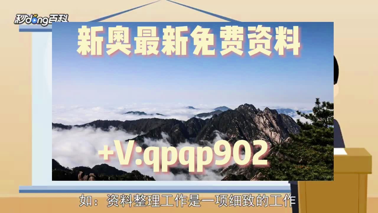 2024新奥正版资料大全免费提供,重要性解释落实方法_标准版90.65.32