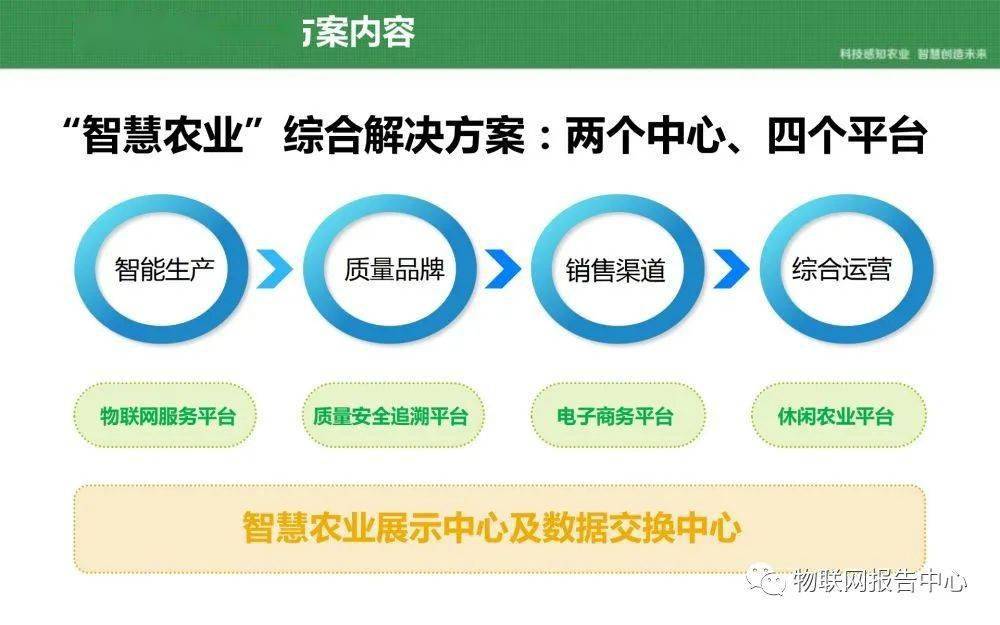 2004新奥门内部精准资料免费大全,快速实施解答策略_开发版68.113