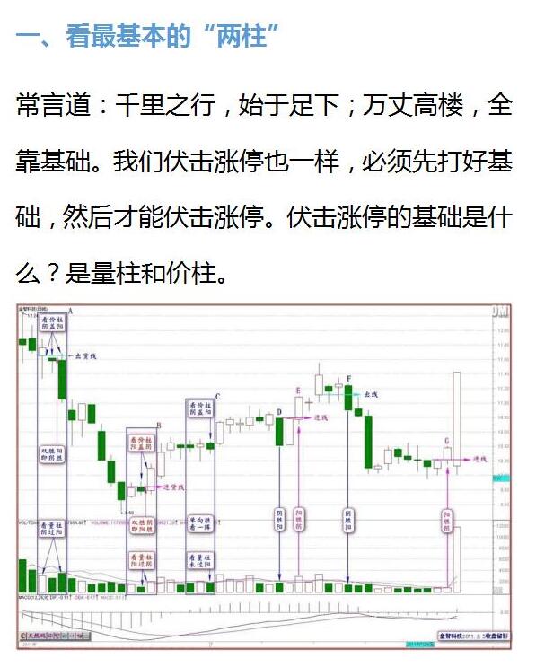 管家婆一票一码资料,高效策略设计_投资版47.515