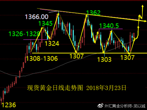 三肖必中三期必出凤凰网2023,高度协调策略执行_模拟版9.232