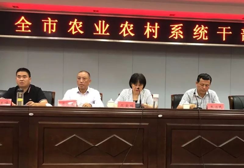 顺德区农业农村局最新人事任命，塑造未来农业新格局