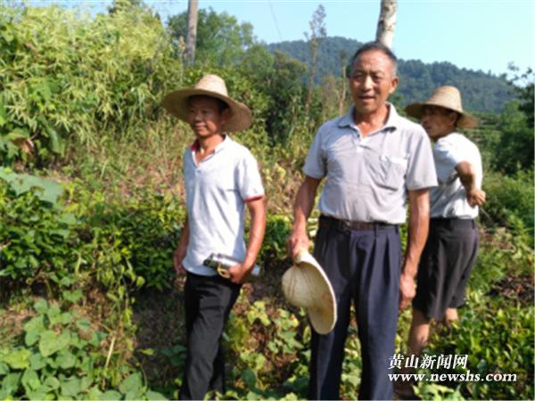 宋和村委会交通新闻更新