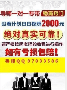 2024年澳门天天彩正版免费大全,实践解析说明_NE版95.57