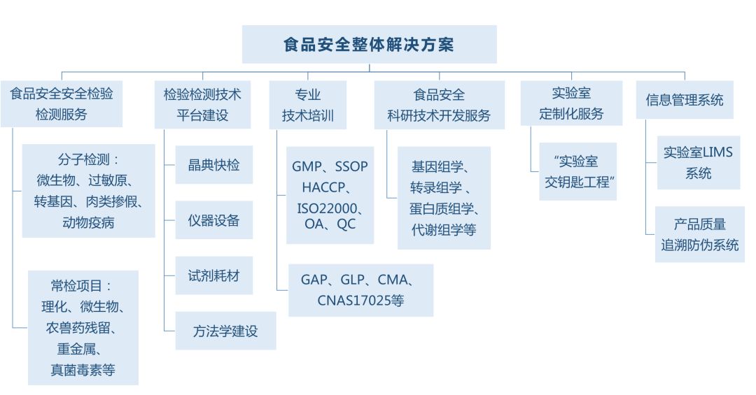 一码中中特,经济性执行方案剖析_模拟版9.232