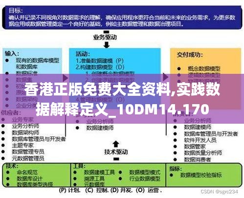 全香港最快最准的资料,数据实施导向策略_WP51.278