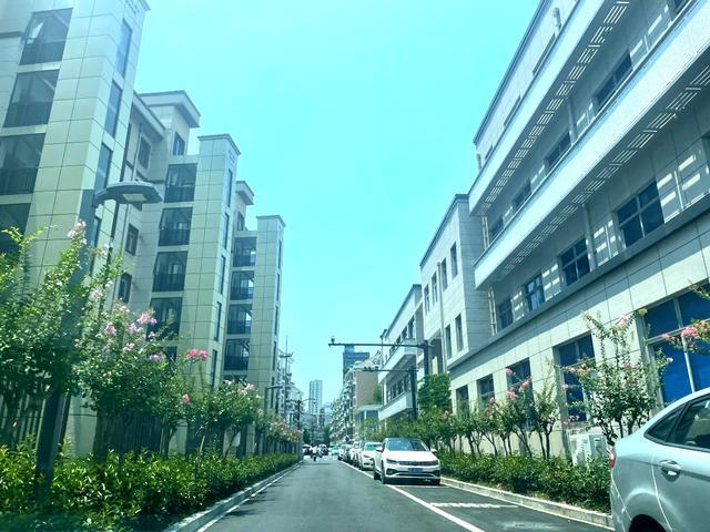 公园路街道新项目重塑城市魅力与活力新篇章