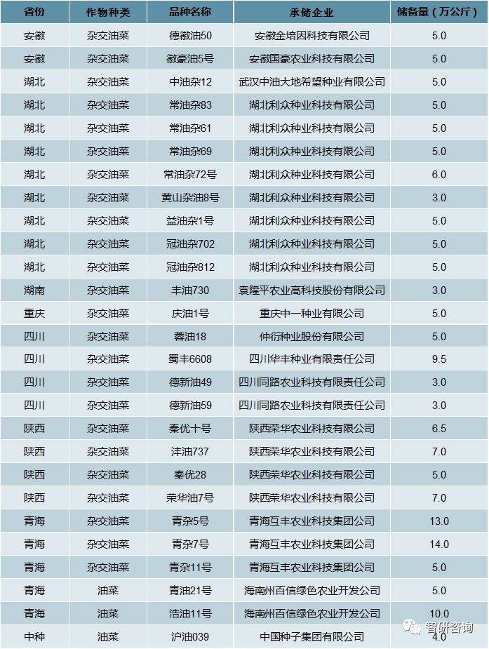 澳门玄机子14918,全面理解执行计划_FT98.893