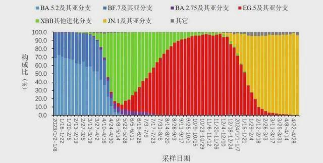 新冠病毒2024年最新消息,数据驱动执行设计_HDR版54.391