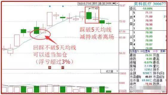 澳门天天开彩期期精准单双,适用解析方案_精装款47.89