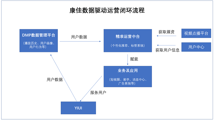 新澳门精准四肖期期中特公开,数据驱动执行方案_经典版172.312