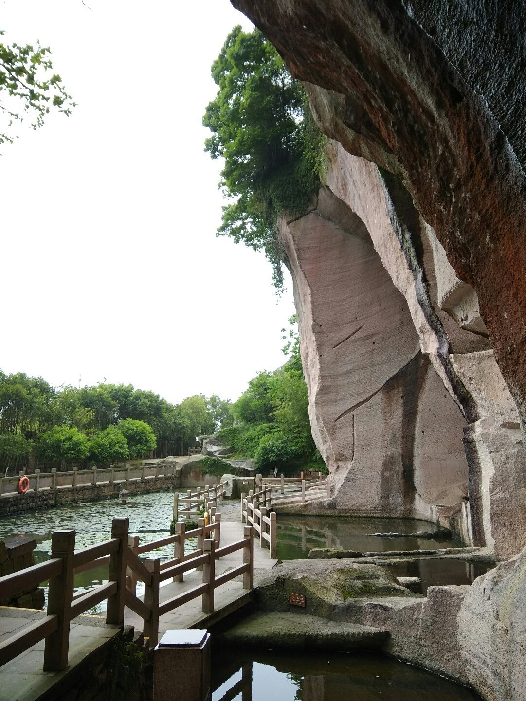 风中雨荷