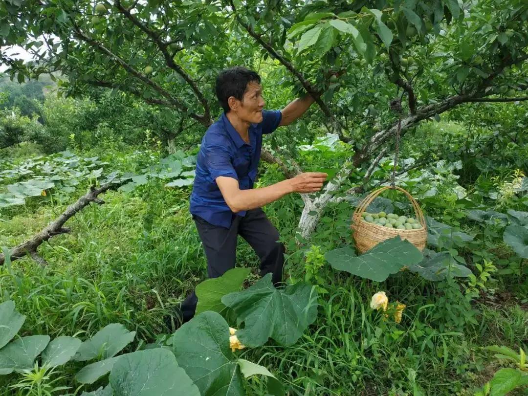 曲尺乡最新新闻报道