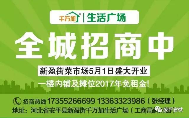 河西区人力资源和社会保障局最新招聘信息全面解析