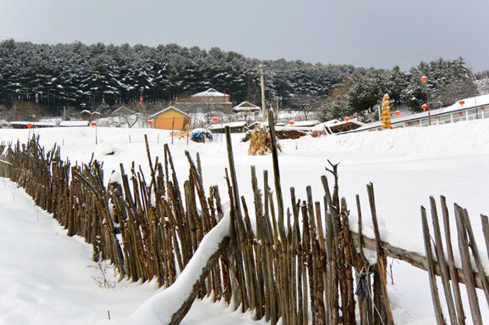 洼雪村现代化交通网络构建最新动态报道